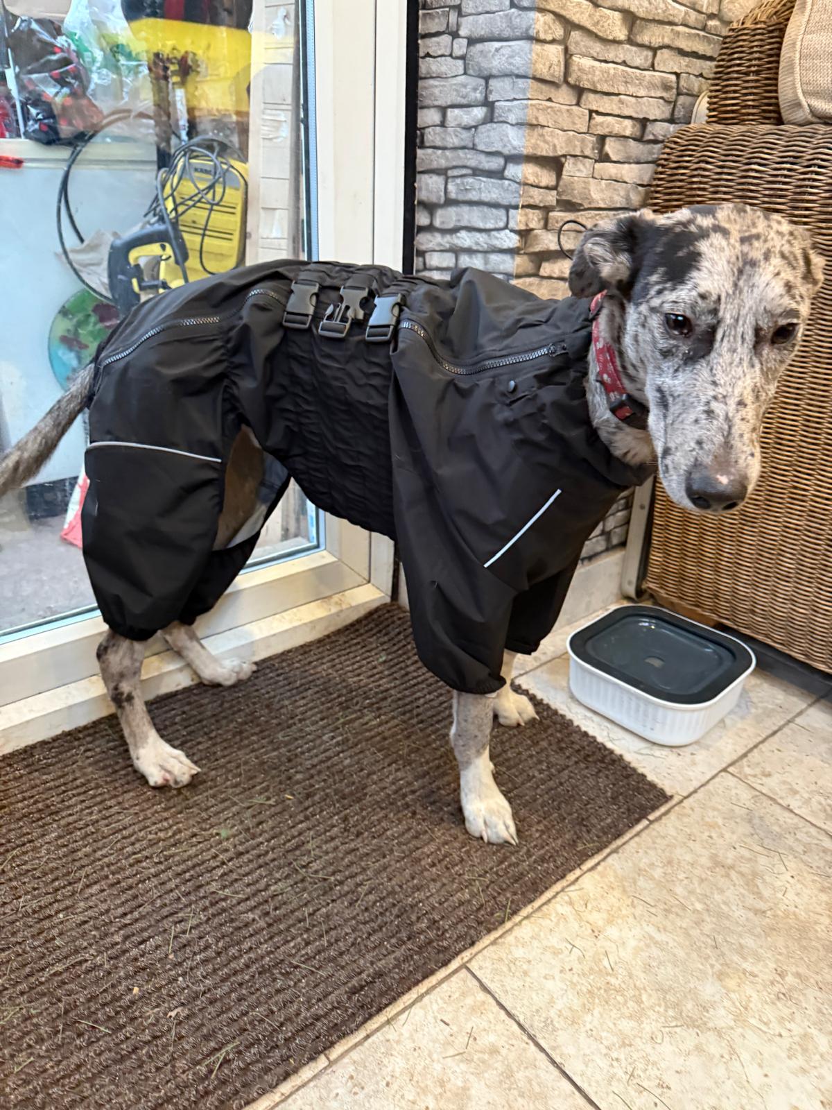 Waterproof Dog Raincoat - 4-Legged Rain Suit